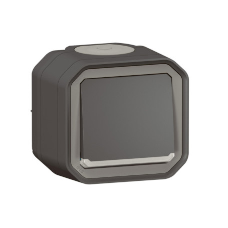 Bouton Poussoir Étanche NO Lumineux LEGRAND Plexo Anthracite 10A IP55