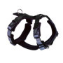 Harnais Confort Daily Walk Nobby Noir Taille M pour Chien