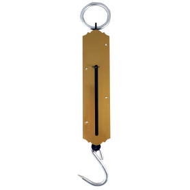 Balance Romaine Portable HomeLux 50 kg - Ustensile de Cuisine Pratique