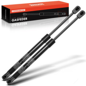 Ressorts à Gaz Frankberg pour Capot Moteur DS5 2011-2015 - 2 Pièces