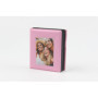 KODAK Smile+ Caméra Instantanée et Imprimante Photo - Pack Cadeau Vert