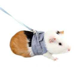 Harnais et Laisse Réglables en Coton Doux pour Petits Animaux