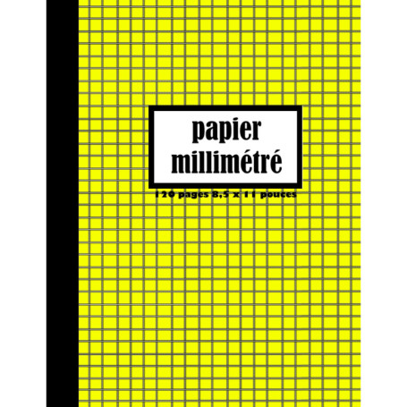 Carnet de Papier Millimétré 8.5 x 11 pouces - 120 Pages pour Mathématiques et Sciences