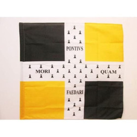 Drapeau Ordonnance du Régiment de Bretagne 1757-1791 - 90x90 cm