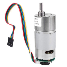 Moteur à Courant Continu 12V/24V avec Réducteur de Vitesse 10-1500RPM