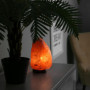 Lampe en Cristal de Sel d'Himalaya 2-3 kg - Zen'Light