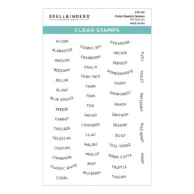 Tampons Transparents ColorWheel Swatch Party - Spellbinders