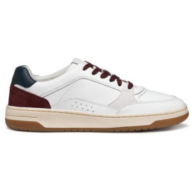 Baskets Blanches U Sedral Court pour Homme - Geox