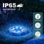 FIFlying 10 Pièces Lampe Solaire Extérieur Jardin, 8 LED Lampe Solaire en Acier Inoxydable pour Pelouse, Allée, Trottoir, Patio,