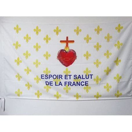 Drapeau Fleur de Lys Or ESF 90x60 cm - AZ FLAG