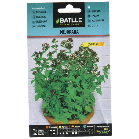 Graines Aromatiques Semillas Batlle - Marjolaine et Origan des Jardins