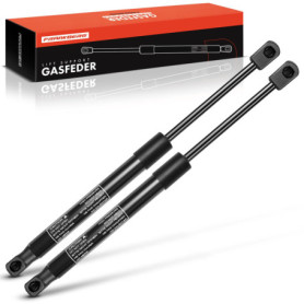 Vérins à gaz pour hayon Frankberg compatibles Micra IV K13 2013-2015