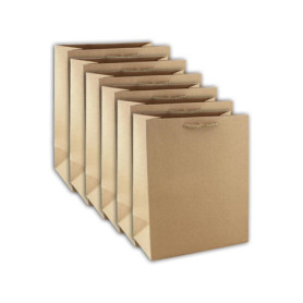 Lot de 6 Sacs Cadeaux Kraft Large - Idéal pour Livres et Jeux