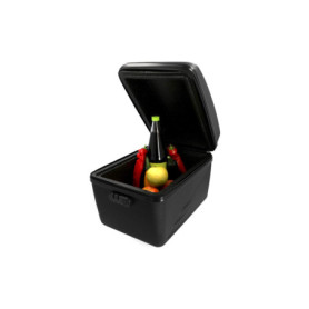Fischer Boîte Isolée pour Porte-Bagages - Garde au Chaud et au Froid, 16L, Noir