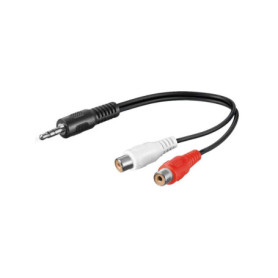 Adaptateur Audio 3.5mm vers Cinch Stéréo - 0.2m Noir