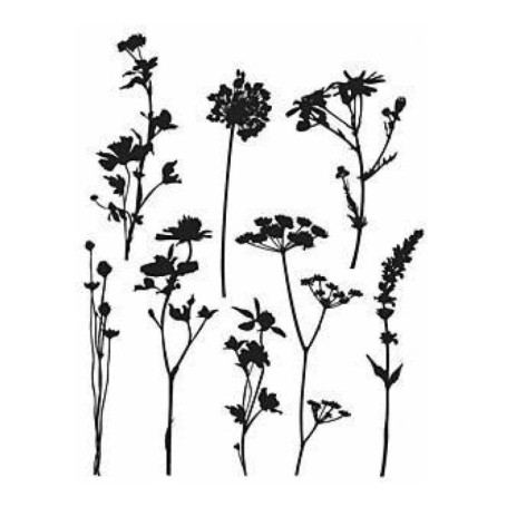 Tampons en Caoutchouc Fleurs Sauvages Tim Holtz - 7 x 21,5 cm