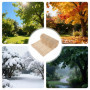 Bande de Protection Hivernale pour Arbres en Jute - 6 m x 40 cm