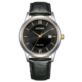 Montre Citizen Homme Classique en Cuir Noir avec Eco-Drive