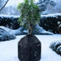 Housse thermique noire pour pots de plantes - Protection antigel 45x50 cm