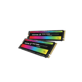 Gigastone SSD 1To NVMe M.2 - Lot de 2, Performance Optimale pour Gaming
