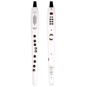 Carry-on Instrument à Vent Numérique 2 Plus - 20 Voix et Enregistreur MIDI Bluetooth