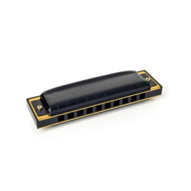 Hohner Pro Harp Harmonica en Sol Majeur - Son Puissant et Design Élégant