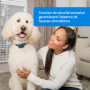 Collier Anti-aboiement Sonore PetSafe pour Chien - Rechargeable et Étanche