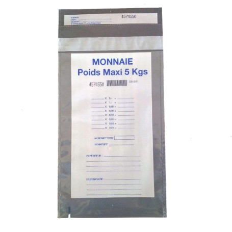 Lot de 100 Enveloppes de Sécurité Transparentes Autoadhésives 180 x 300 mm