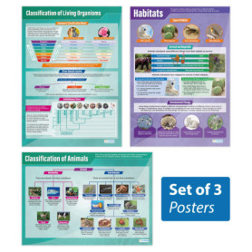 Lot de 3 affiches scientifiques Animaux & Habitats - Daydream Education