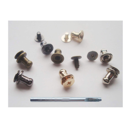 Pack de 41 Vis Rivets Sam Brown pour Ceinture et Artisanat
