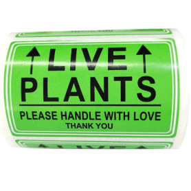 Lot de 250 étiquettes autocollantes pour plantes vivantes - Fragiles