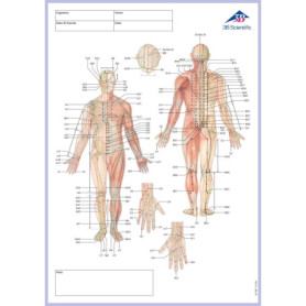 Bloc Note Multicolore des Méridiens Corporels - 50 Feuilles