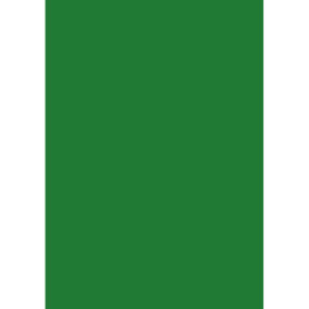 Papier Multifonction A4 80g/m² Vert Foncé - 50 Feuilles