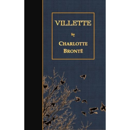 Villette - Roman de Lucy Snowe en Anglais