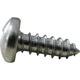 Lot de 100 Vis à Tôle Bombée en Acier Galvanisé TOOLCRAFT