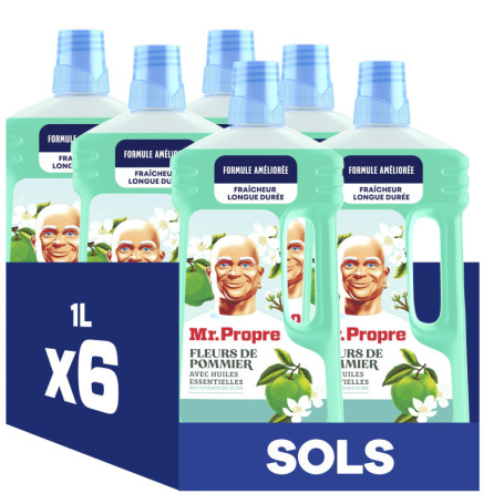 Mr Propre Nettoyant Multi-Usages Fleurs de Pommier - Pack de 6 x 1L