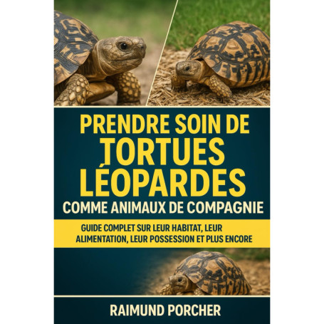 Guide Complet pour Prendre Soin des Tortues Léopard comme Animaux de Compagnie