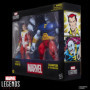 Pack de 2 Figurines Marvel Legends : Starfox et Champion de l'Univers