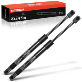 Vérins à Gaz Hayon Frankberg pour Megane II Coupé-Cabriolet 2003-2009 - Lot de 2