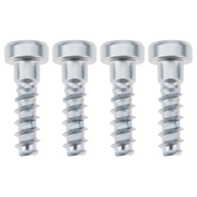 Vis Autotaraudeuses Torx T27 pour Tronçonneuses Stihl - Lot de 4