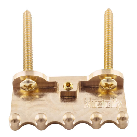 Peigne à Ressorts Ultra Résistant Musiclily pour Tremolo Strat/Floyd Rose