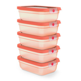 Lot de 5 Boîtes de Conservation OneClick Emsa - Hermétiques et Pratiques