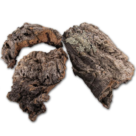Reptiliège - Assortiment de Liège Naturel pour Terrarium - 10 Litres