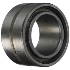Roulement à rouleaux cylindriques INA SL185009-XL haute capacité