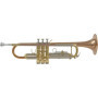 Trompette Si♭ Vernie Woodbrass WTP400 - Prête à Jouer avec Étui et Embouchure