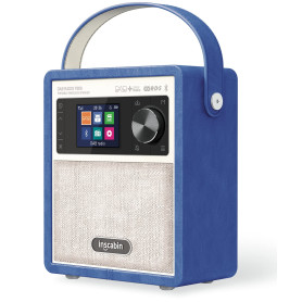 Inscabin P200 Portable Dab/Dab + FM numérique Radio- Haut-Parleur Portable sans Fil avec Bluetooth, Le Son stéréo, Beau Design, 