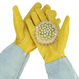Gants de jardinage en cuir résistants aux épines - Taille M