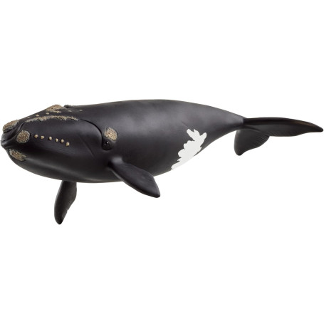 Figurine Baleine Noire de l'Atlantique Nord - Schleich Wild Life