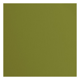 Papier Cartonné Vert Olive Florence - 20 Feuilles 30,5 x 30,5 cm pour Scrapbooking