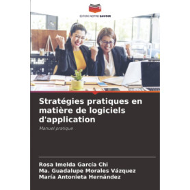 Manuel Pratique des Stratégies Logiciels pour Ingénieurs en Gestion